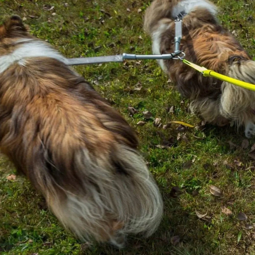 Wacky Walker No Pull Leash with Tandem extender.